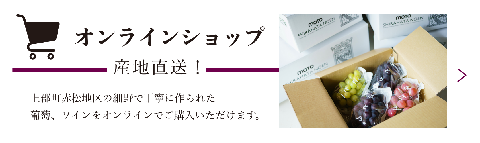 オンラインショップバナー